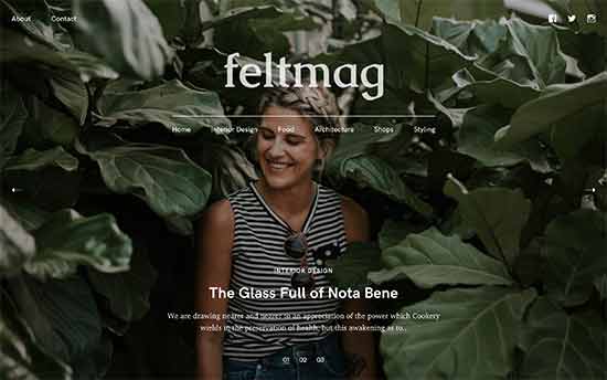 Feltmag