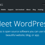 Is Loose WordPress Webhosting Value It? 10 Components to Believe