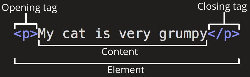 Understanding how different tags form elements is a critical step in learning HTML.
