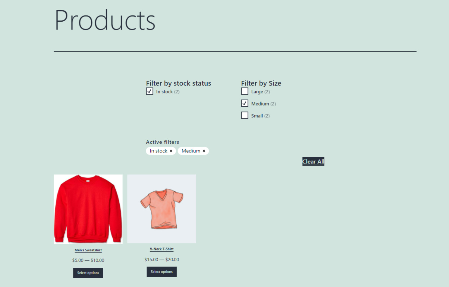 A WooCommerce shop with filters applied.