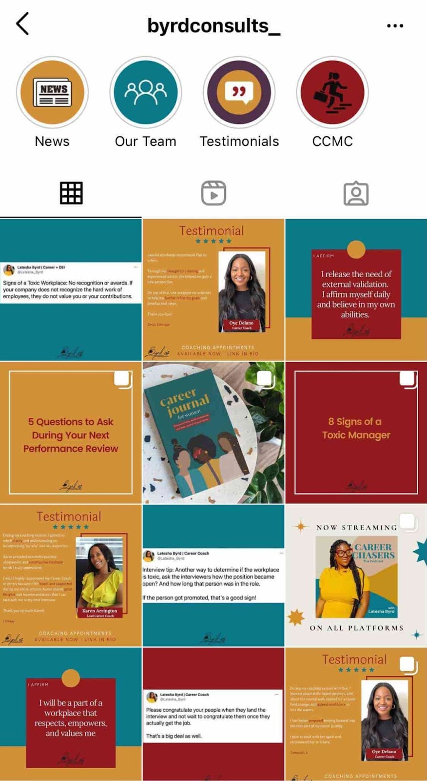 Byrd Consults example of cohesive instagram theme