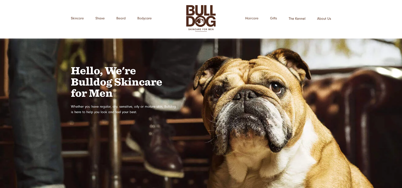 About Us Page Examples: Bulldog Skincare