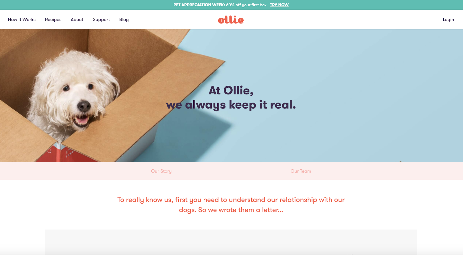 Ollie features a hero image of its core focus — pets.