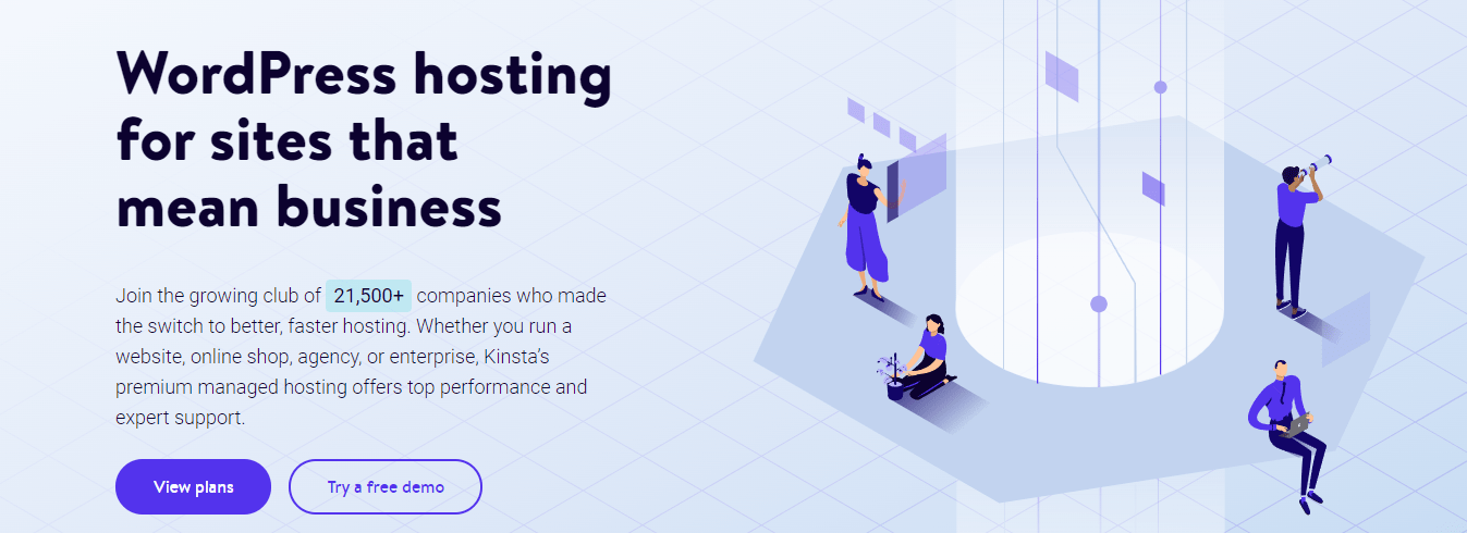 svg animation on the Kinsta homepage