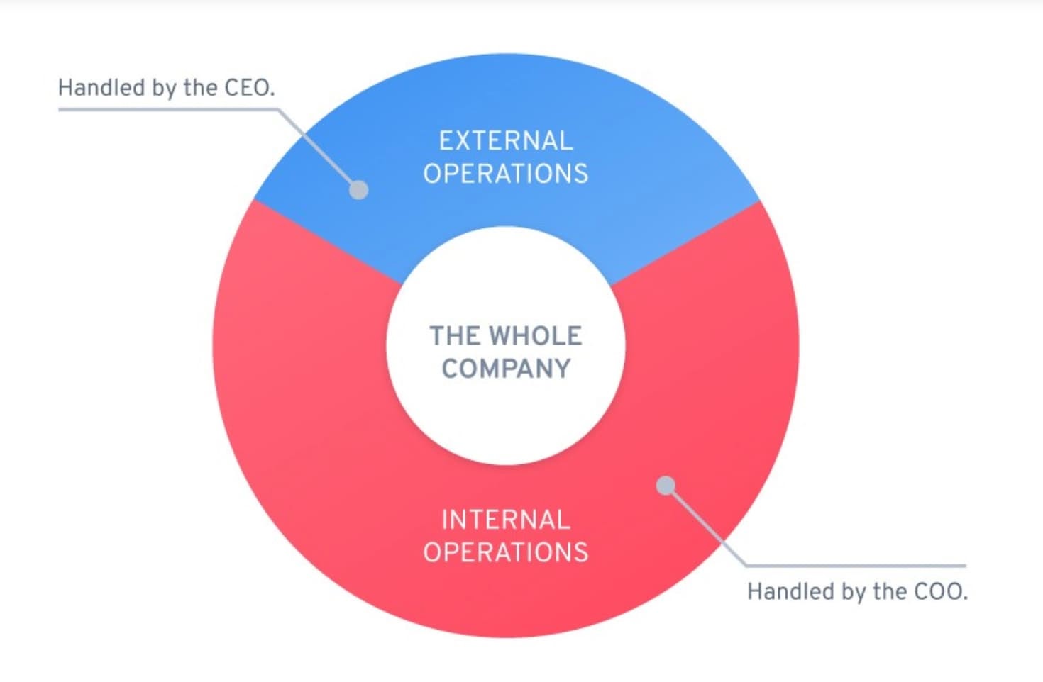 chief operating officer duties compared to chief executive officer duties