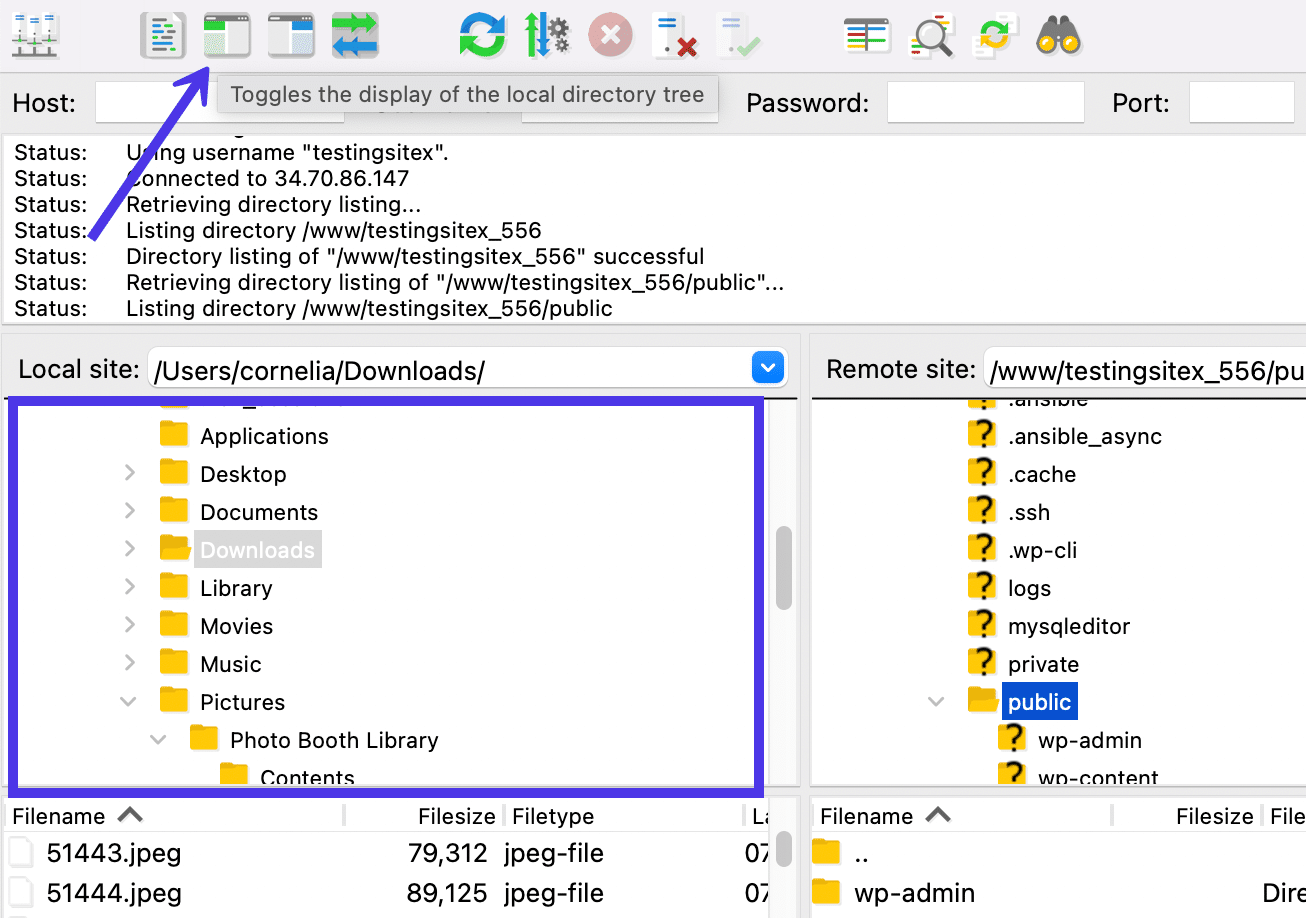 Toggle the display of the Local Directory Tree.