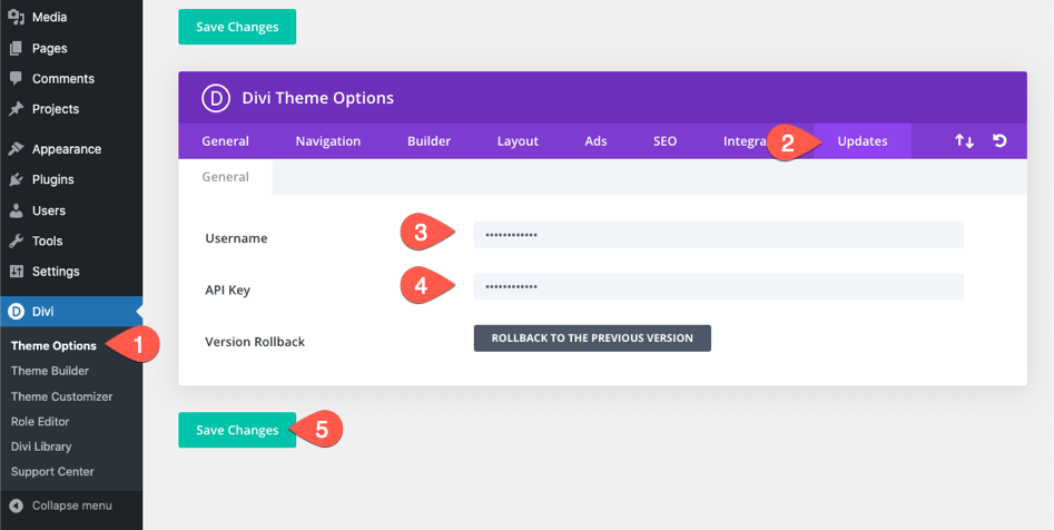 Business CV Layout Pack for Divi