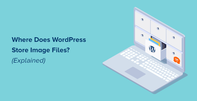 Where does WordPress store image files (Explained)