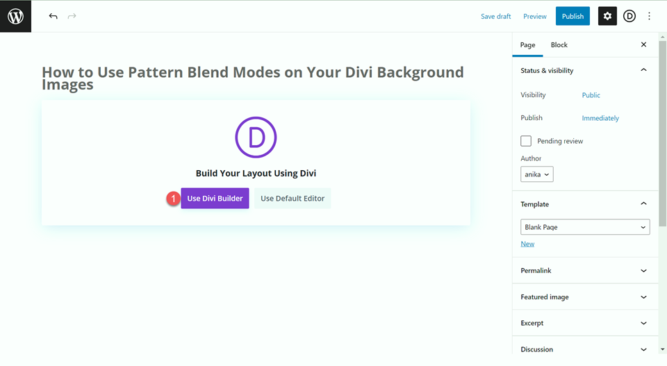 Divi Background Pattern Blend Mode Layout 3 Use Divi Builder
