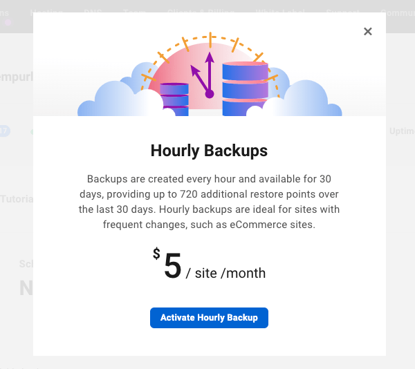 New Endeavor Grade Hourly Web hosting Backups (Handiest $5/m!)