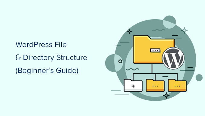 WordPress file and directory structure explained for beginners