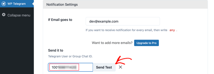 Paste Your Group Chat ID Into the Plugin's Field
