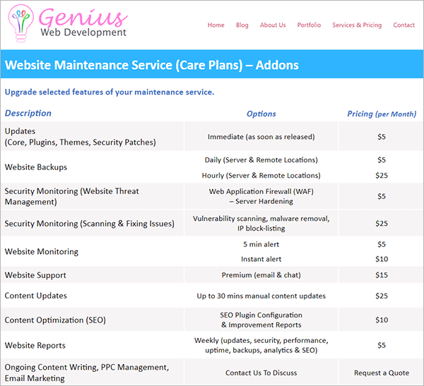 Website Maintenance Service Addons