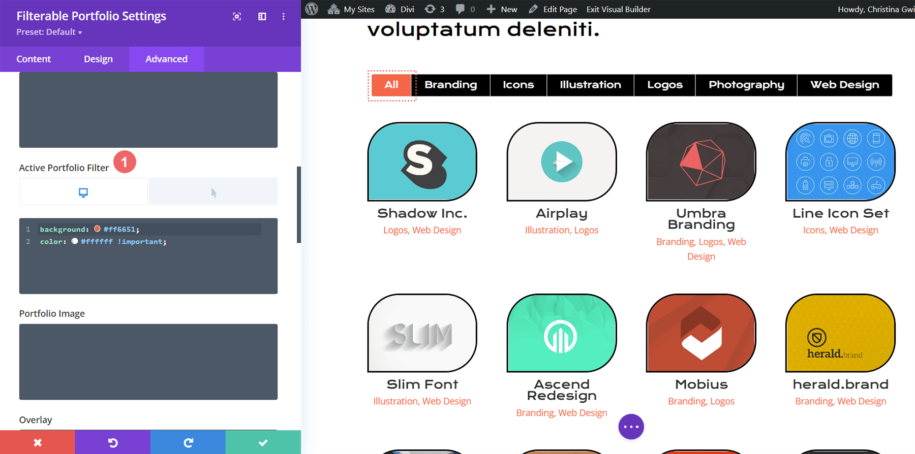 Active Portfolio Filter styling