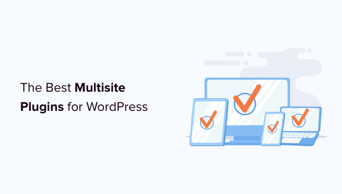 Best WordPress Multisite Plugins You Should Use