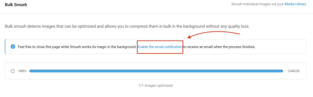 Link to enable email notifications.