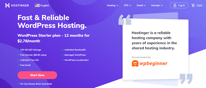 The Hostinger web hosting website