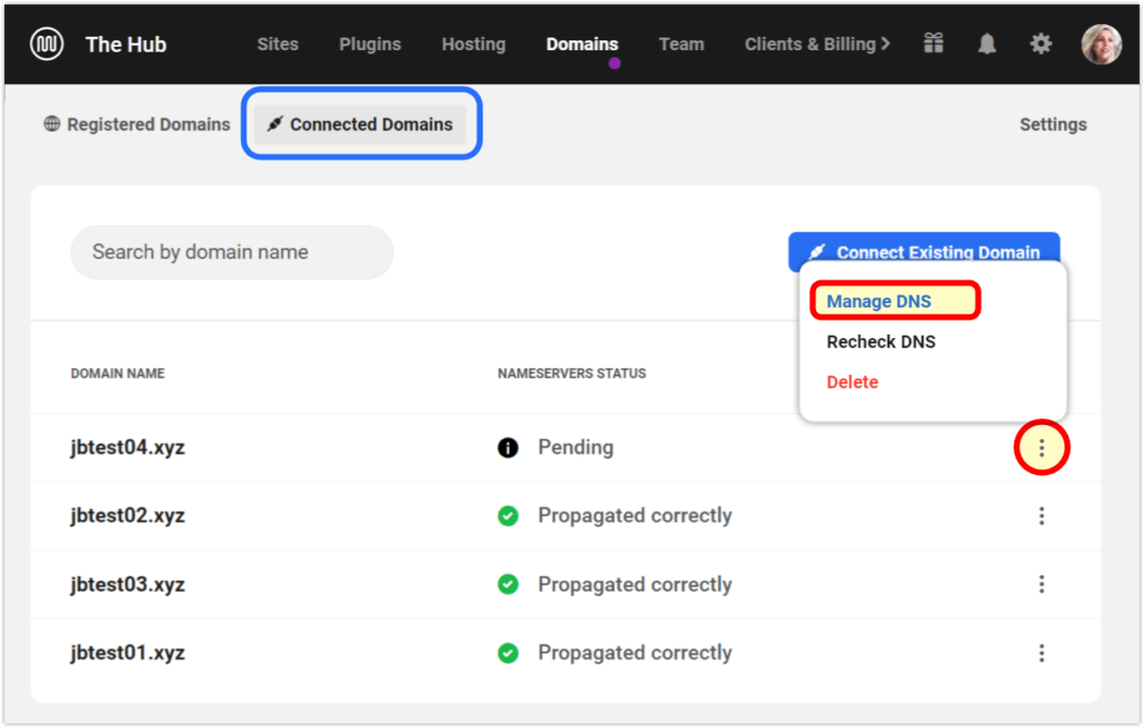 onnected domains manage dns (wpmudev)