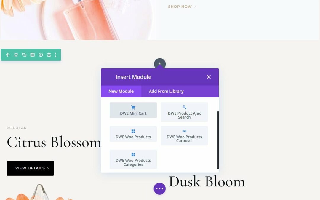 Divi Plugin Spotlight: Divi WooCommerce Prolonged