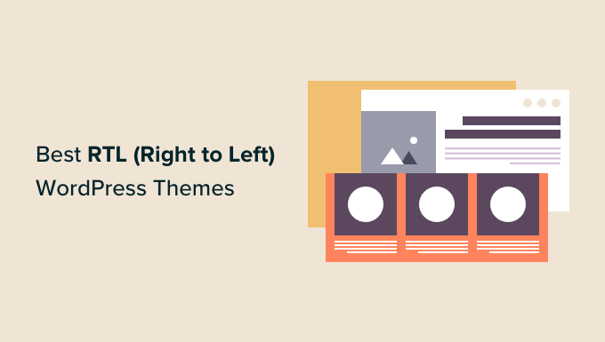 Best WordPress Themes for RTL (Right-to-Left) Language Support