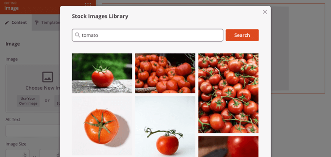 Matching Stock Images Will Be Displayed