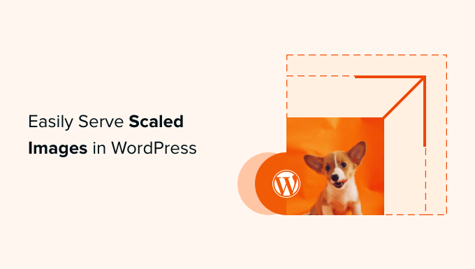 How to Easily Serve Scaled Images in WordPress (Step by Step)