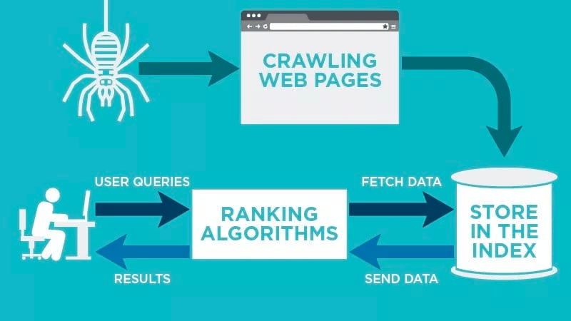A step by step process showing web crawling