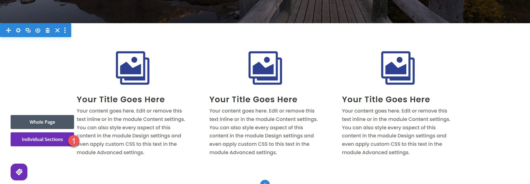 Divi Plugin Highlight Divi/Gutenberg/Woo Cross-Domain Content Copy Paste System (CCPS) Visual Builder Individual Sections