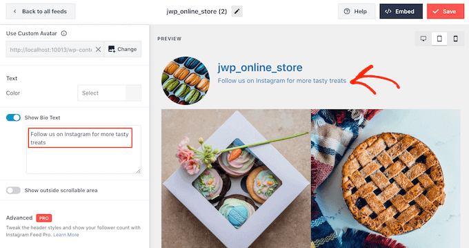 Adding a custom Instagram bio to your WordPress website