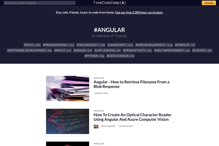 List of Angular article and posts in FreeCodeCamp.org website