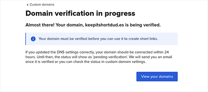 Domain verification