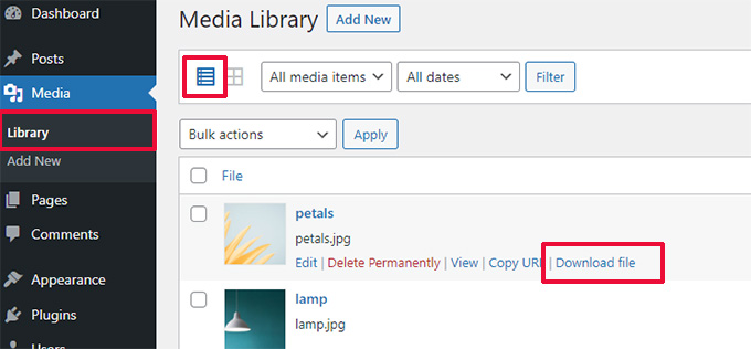 Download file link in the Media Library