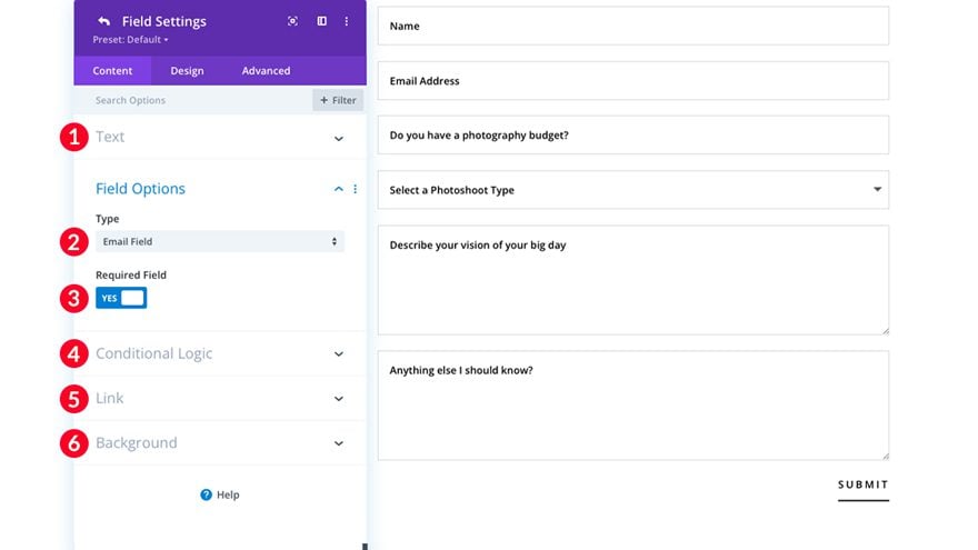 Divi Email Field Options