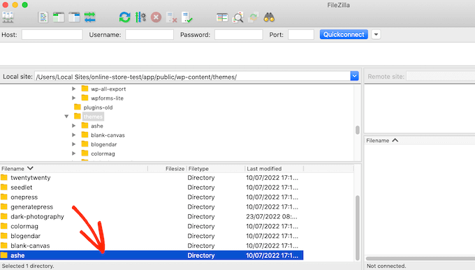 The FileZilla FTP client