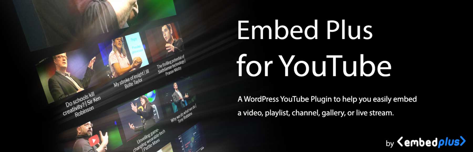 Embed Plus for YouTube plugin