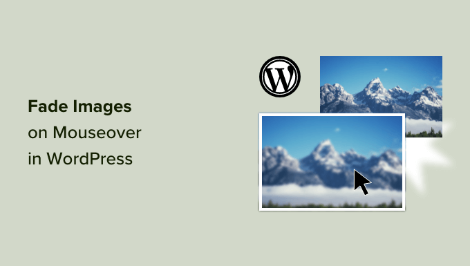Methods to Fade Photographs on Mouseover in WordPress (Easy & Simple)