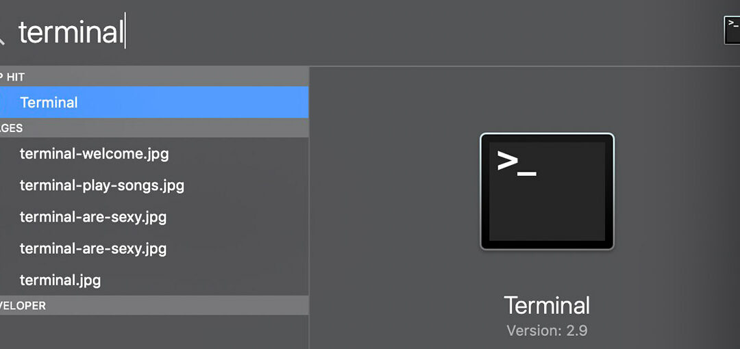 The right way to Transparent DNS Cache in Mac