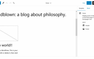 10 WordPress Web page Editor (FSE) Options You Didn’t Know About