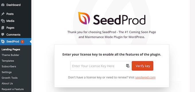 Adding a license key to the SeedProd page builder