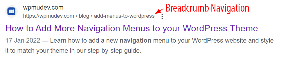 Google search results example