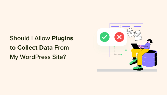 Must I Give Permission for WordPress Plugins to Acquire Information?