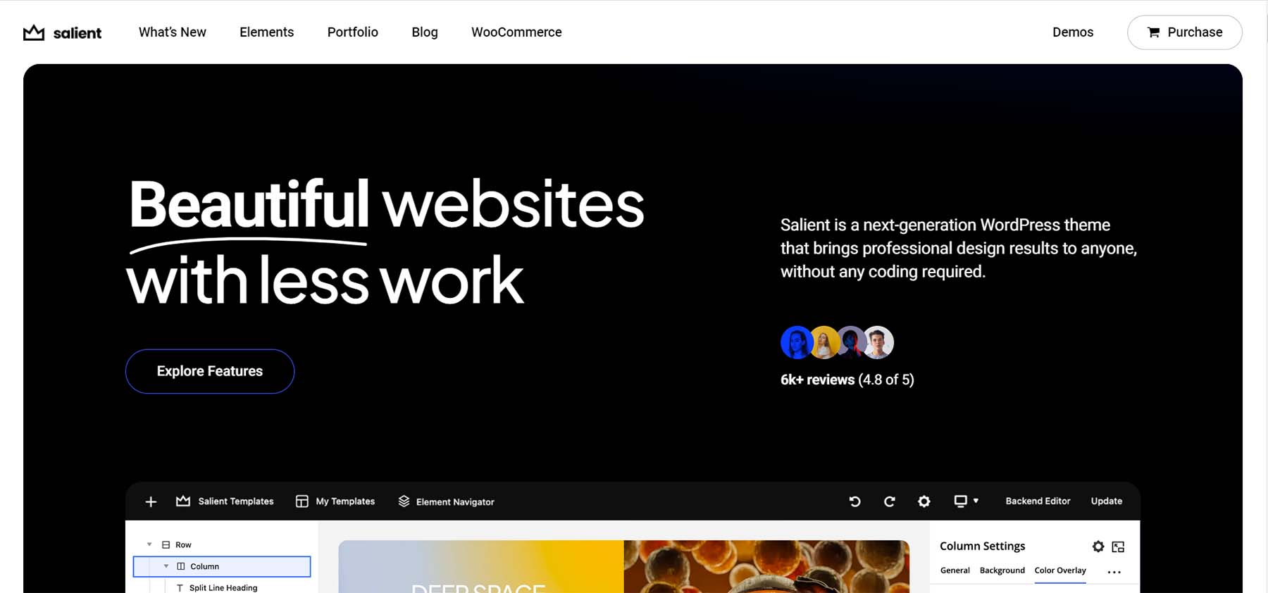 Salient Premium WordPress Theme