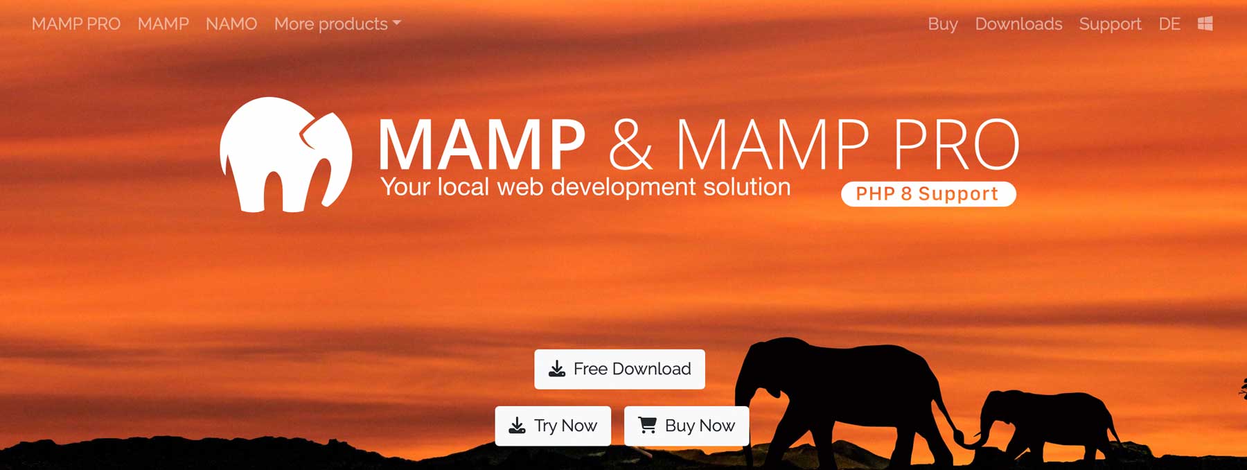 host wordpress locally with MAMP