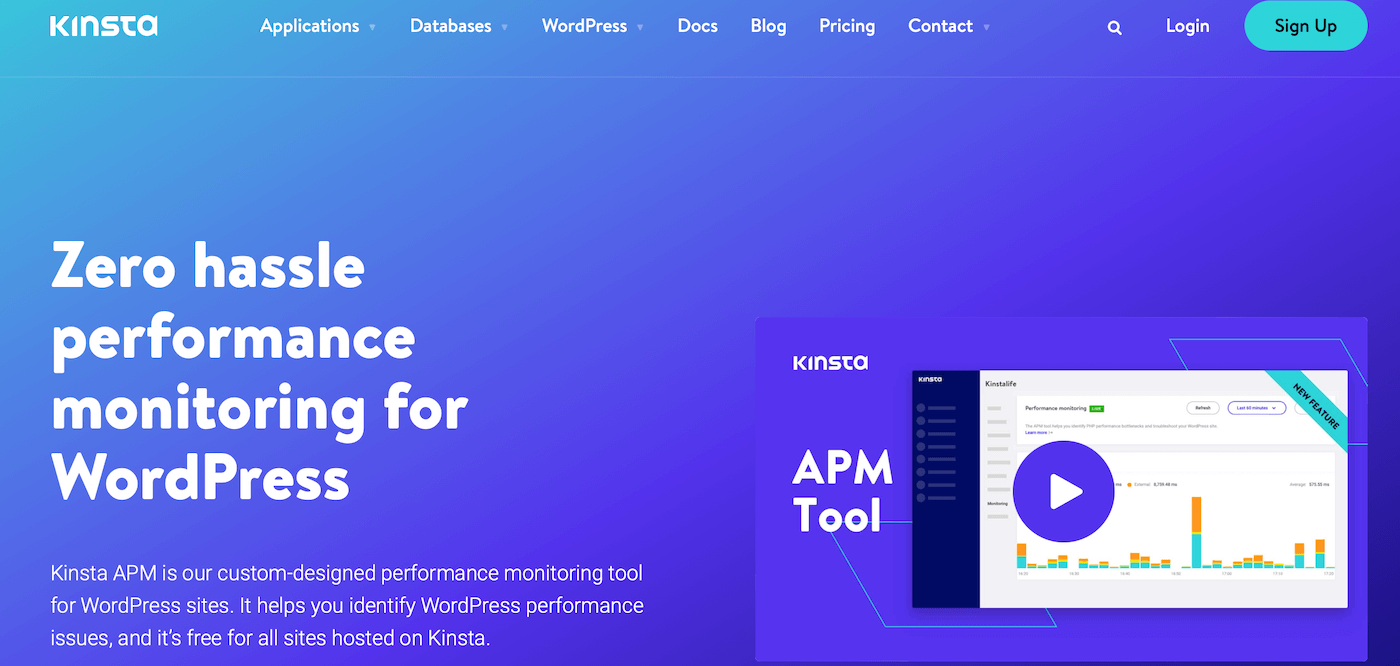 Kinsta APM tool homepage