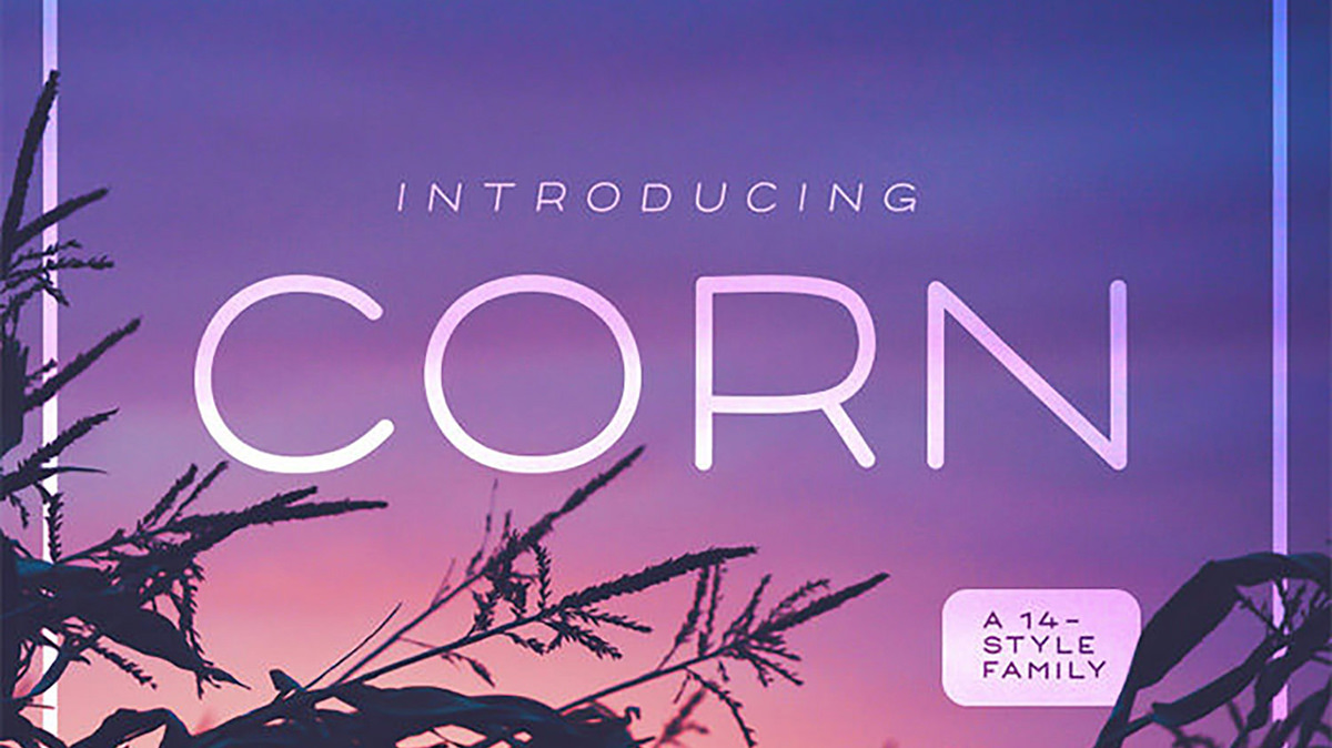 Corn