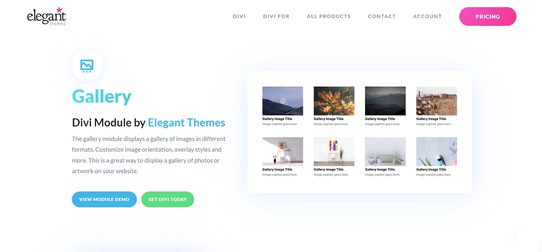 Divi Gallery Module