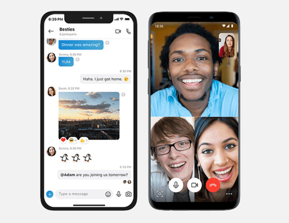 Skype App Interface