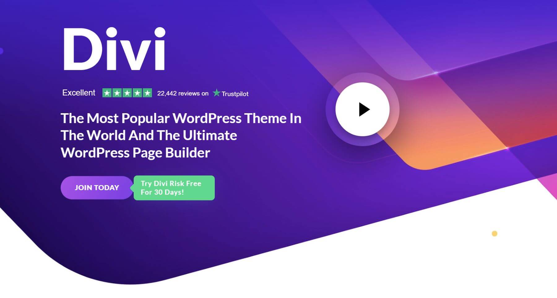 Divi Theme for Business