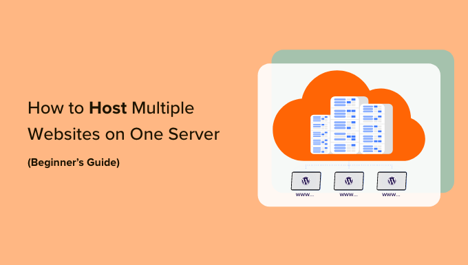 How to host multiple websites on one server