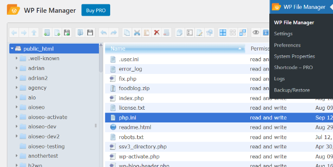 View php.ini file in file manager plugin
